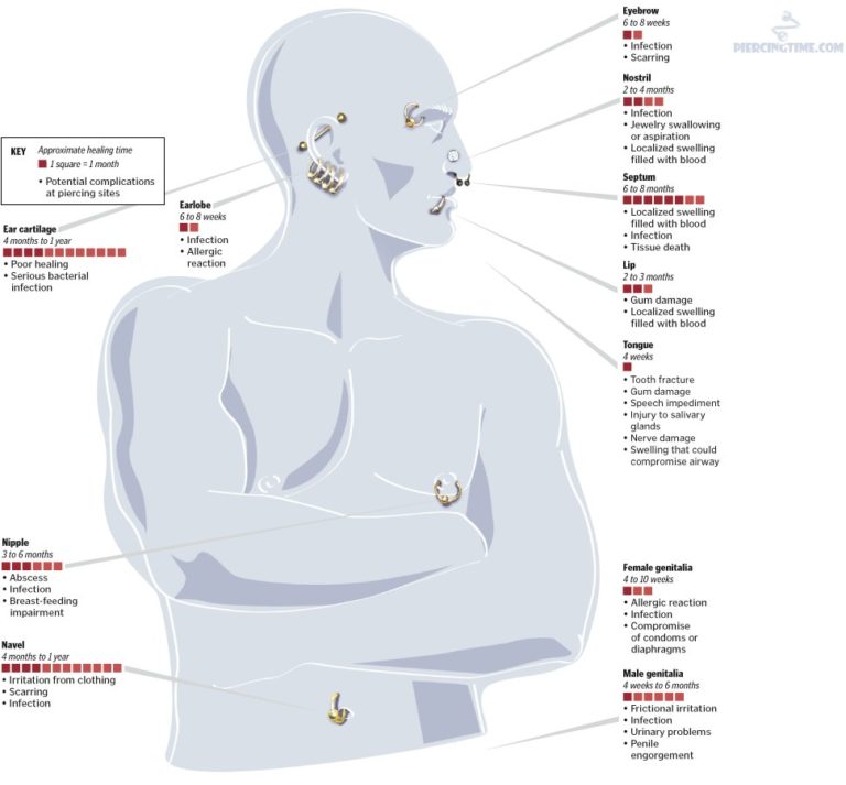 Whole Body Piercing Chart Piercing Time